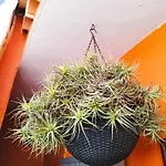 Cantora Casa de Férias *