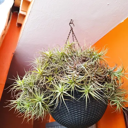 Cantora Casa de Férias *