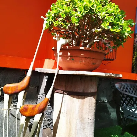 Cantora Σπίτι διακοπών